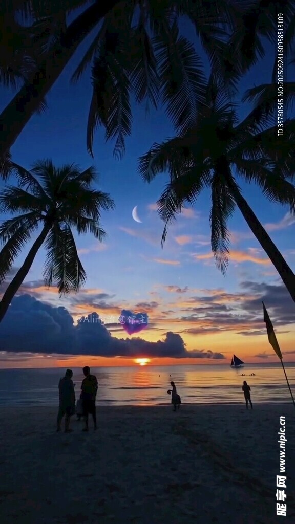 海边日落时的椰林美景
