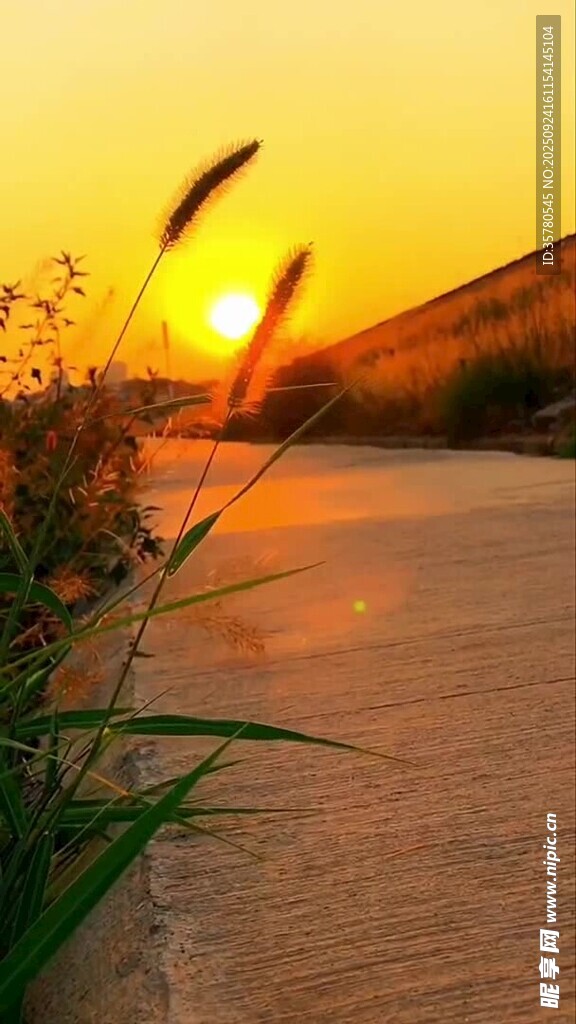 夕阳下的河畔美景