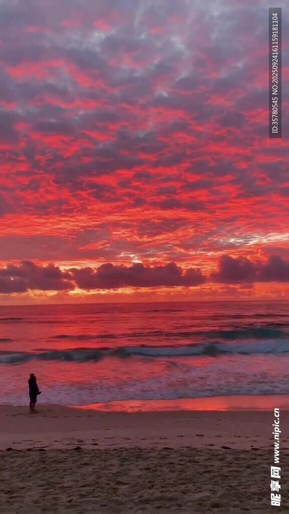 夕阳下情侣漫步海边美景