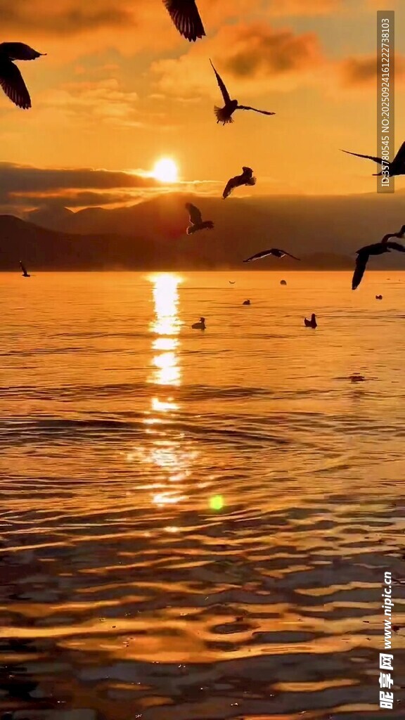夕阳下海面飞鸟美景