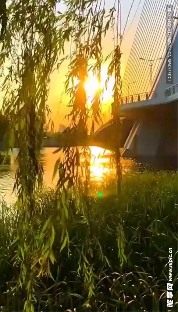 夕阳下河畔的自然美景