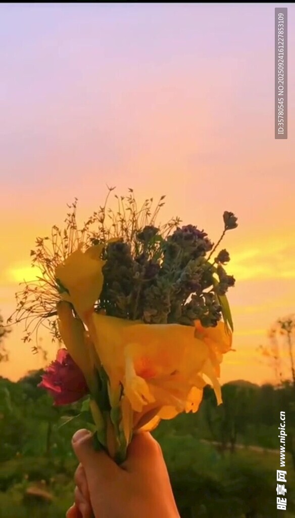 夕阳下手捧花束的浪漫