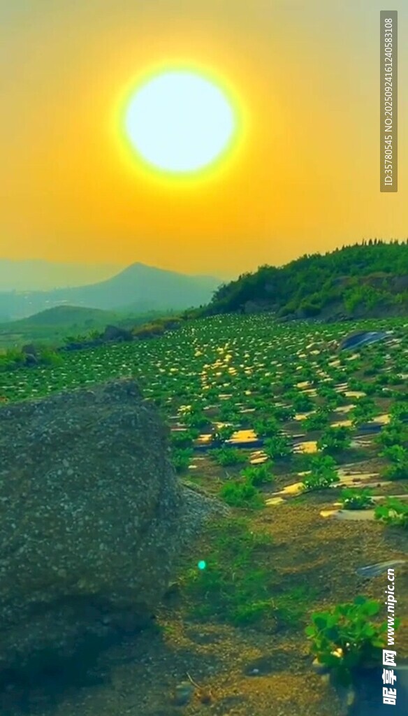 夕阳下的田园风光