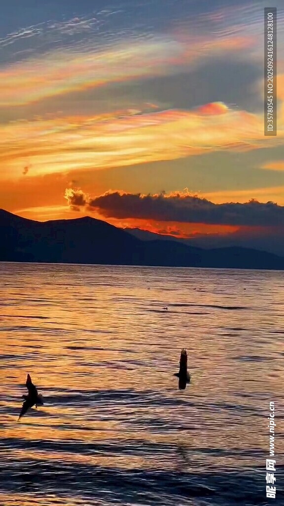 夕阳下的海上皮划艇者