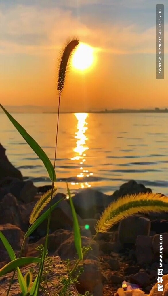 夕阳下的水边景致