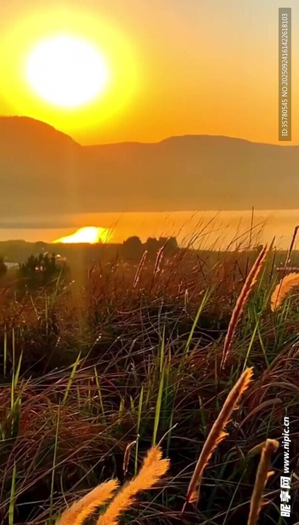 夕阳下的湖畔草地美景