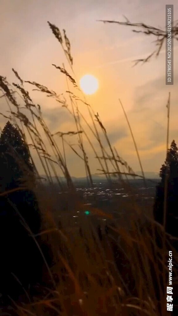 夕阳下的草地与模糊人影
