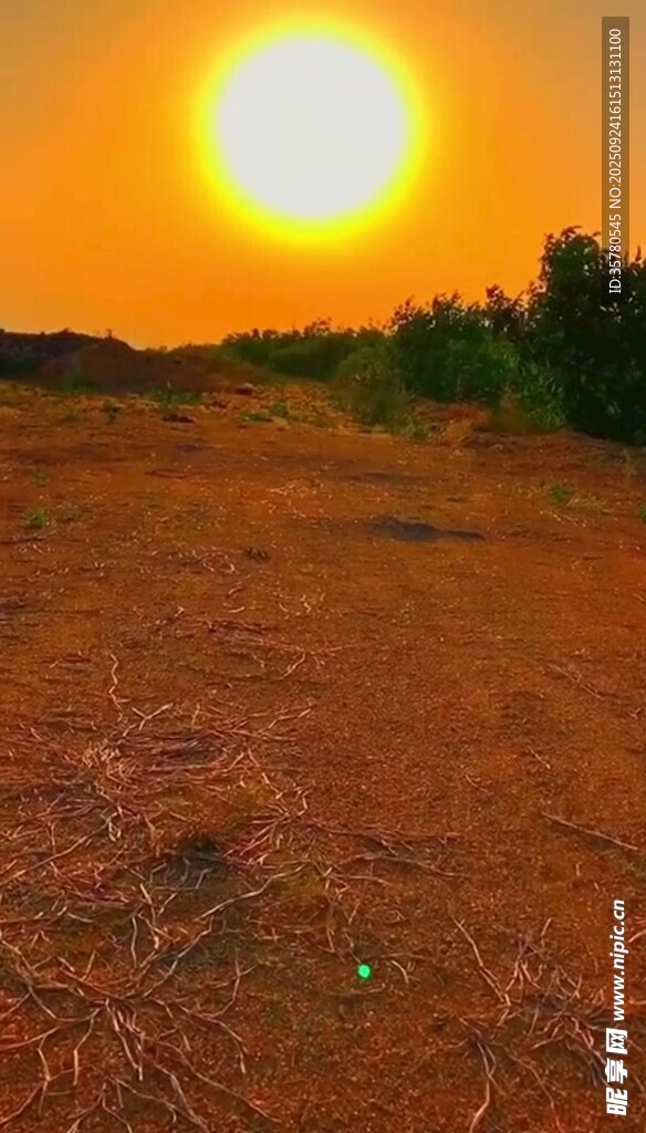 夕阳下的旷野美景