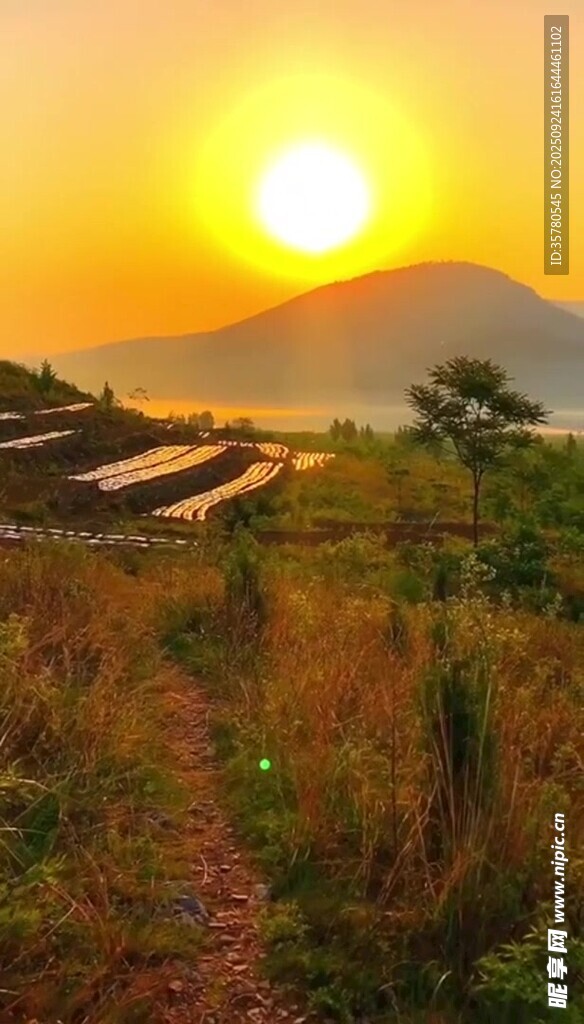 夕阳下的田园风光