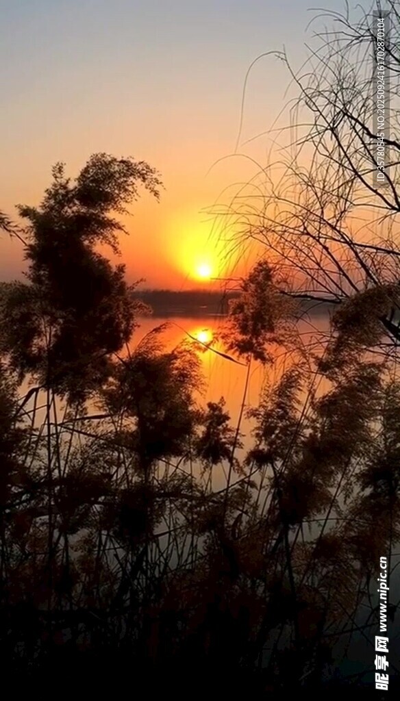 夕阳下湖畔的美丽景致