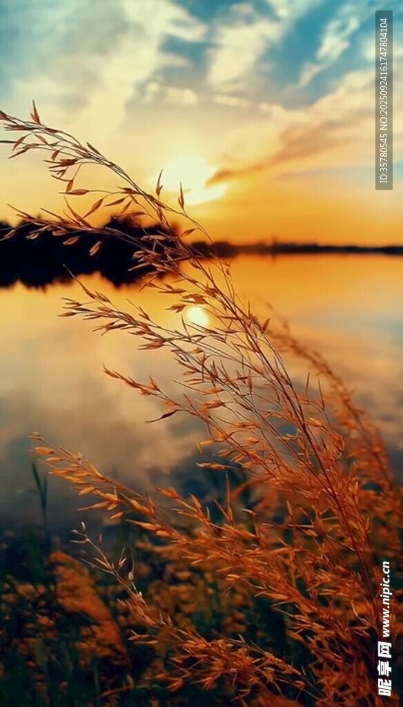 湖畔夕阳下的绚烂景致