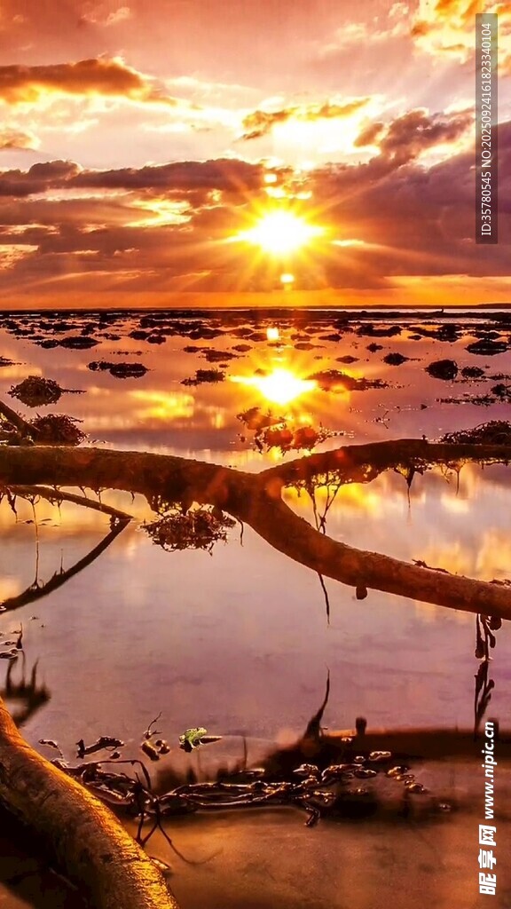 夕阳下的美丽水域景观