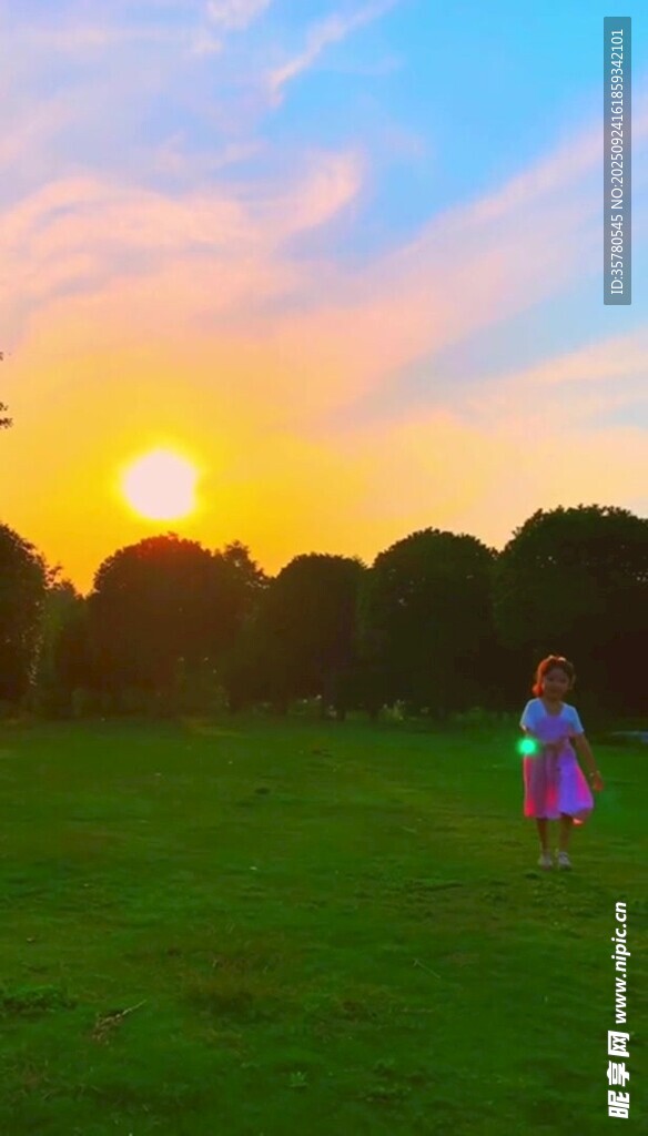 夕阳下草地上的欢乐身影