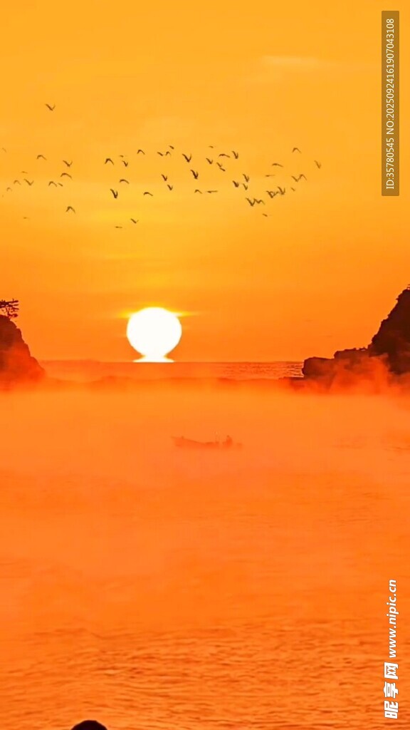 海上日落飞鸟美景