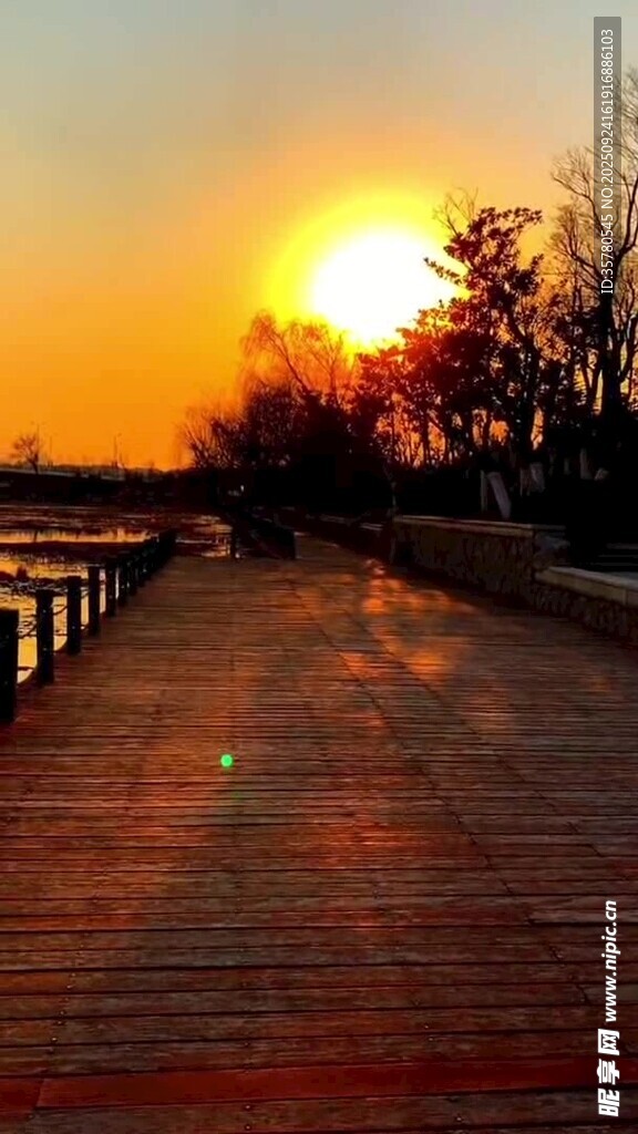 夕阳下的木质栈道美景