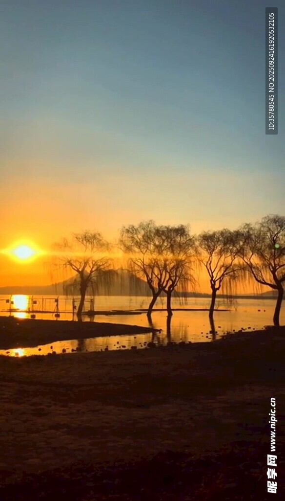 夕阳下的湖边树木美景
