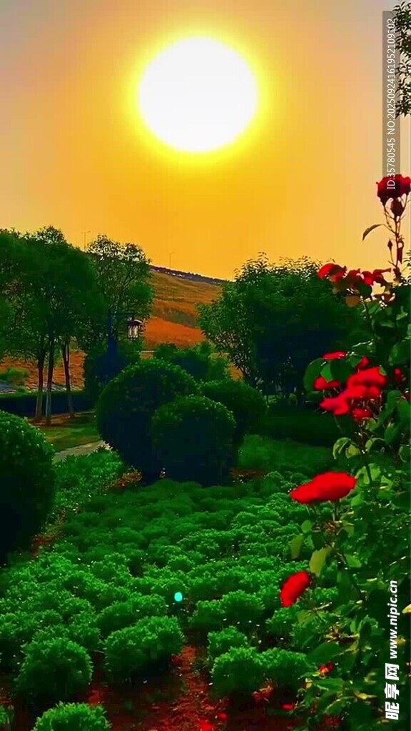 夕阳下的花园美景