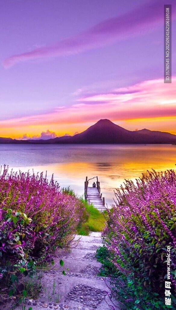黄昏湖畔小径旁烂漫花海