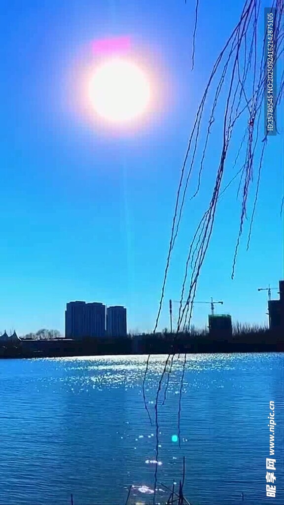 湖畔阳光垂柳城市美景