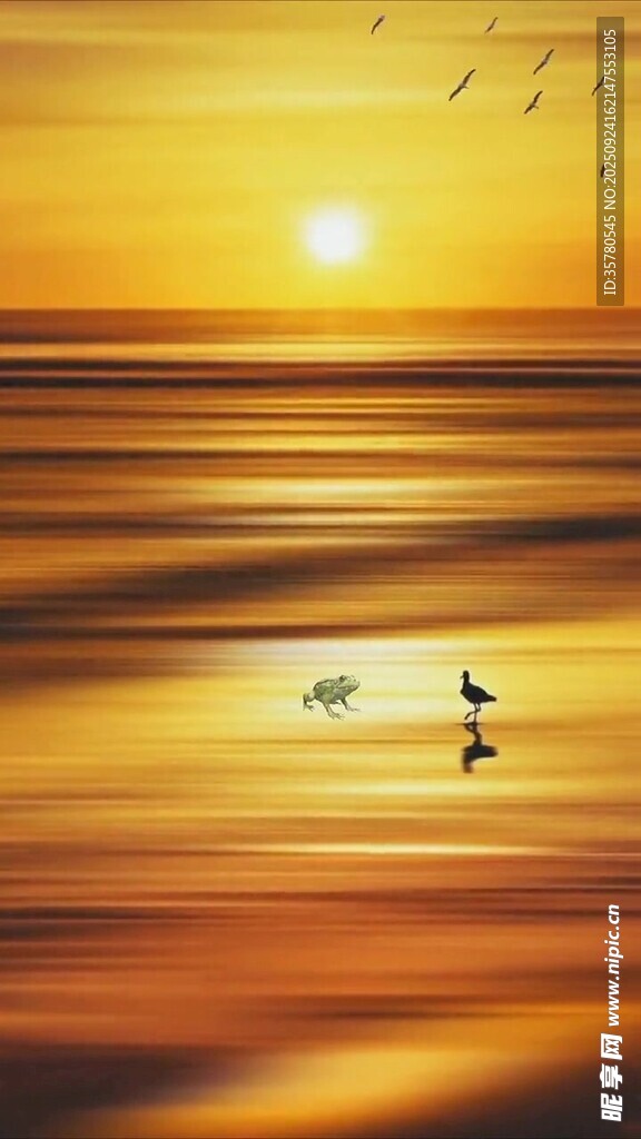夕阳下海面飞鸟的美景