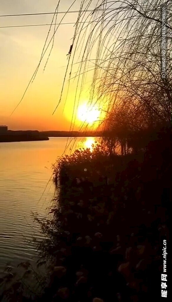 夕阳下的河畔美景