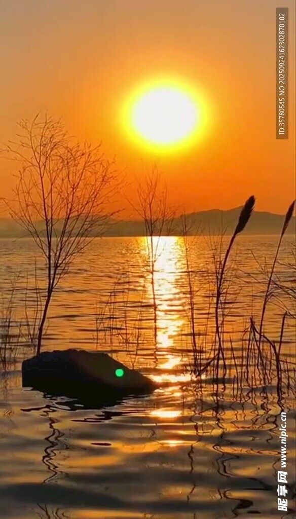 夕阳下湖面的静谧景象