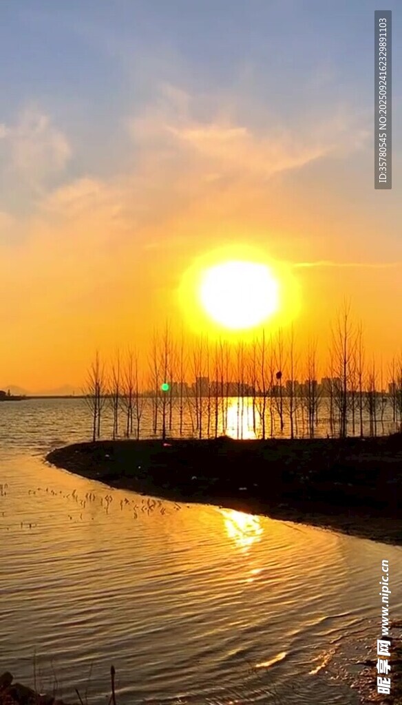 夕阳下的宁静水岸风光