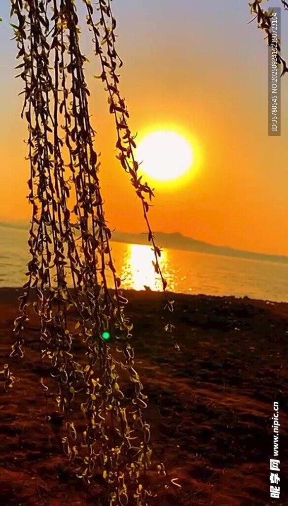 夕阳下的海边风铃
