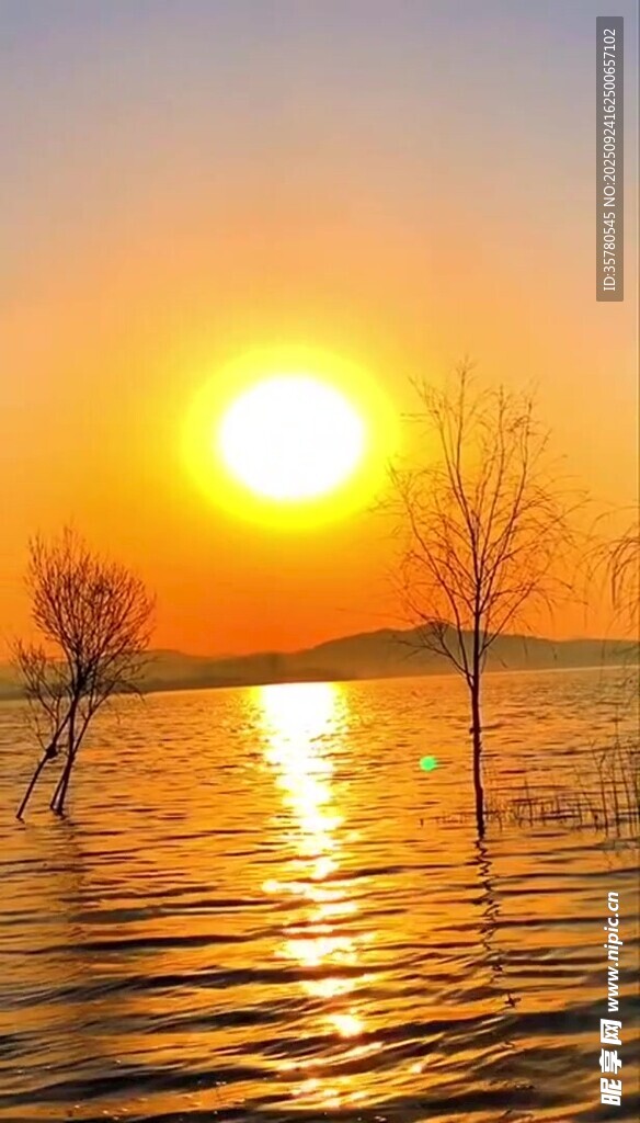 夕阳下波光粼粼的水面
