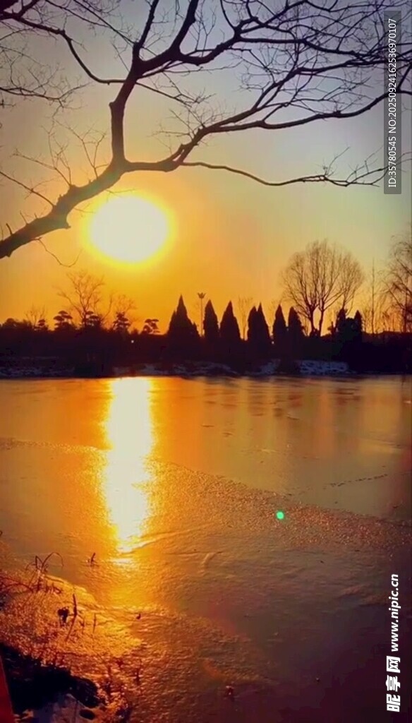夕阳下的湖畔枯树美景
