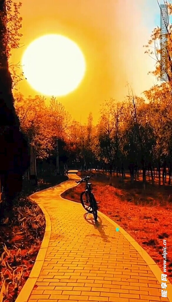 夕阳下的骑行者
