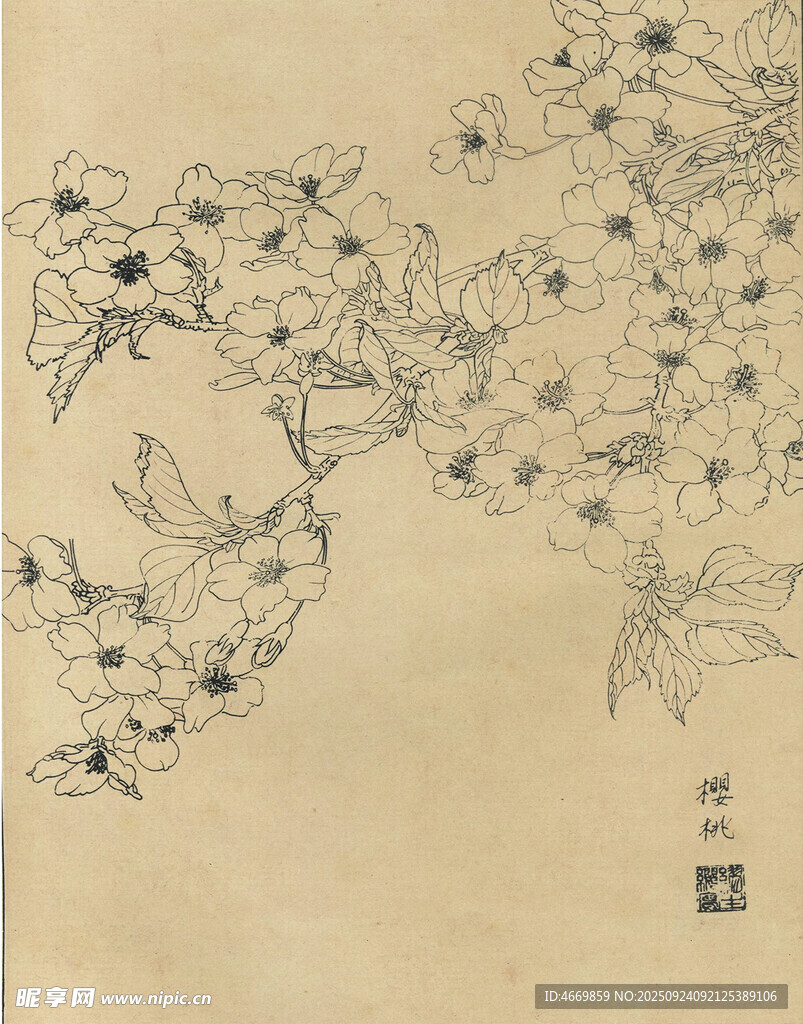 中式花鸟手绘线稿图