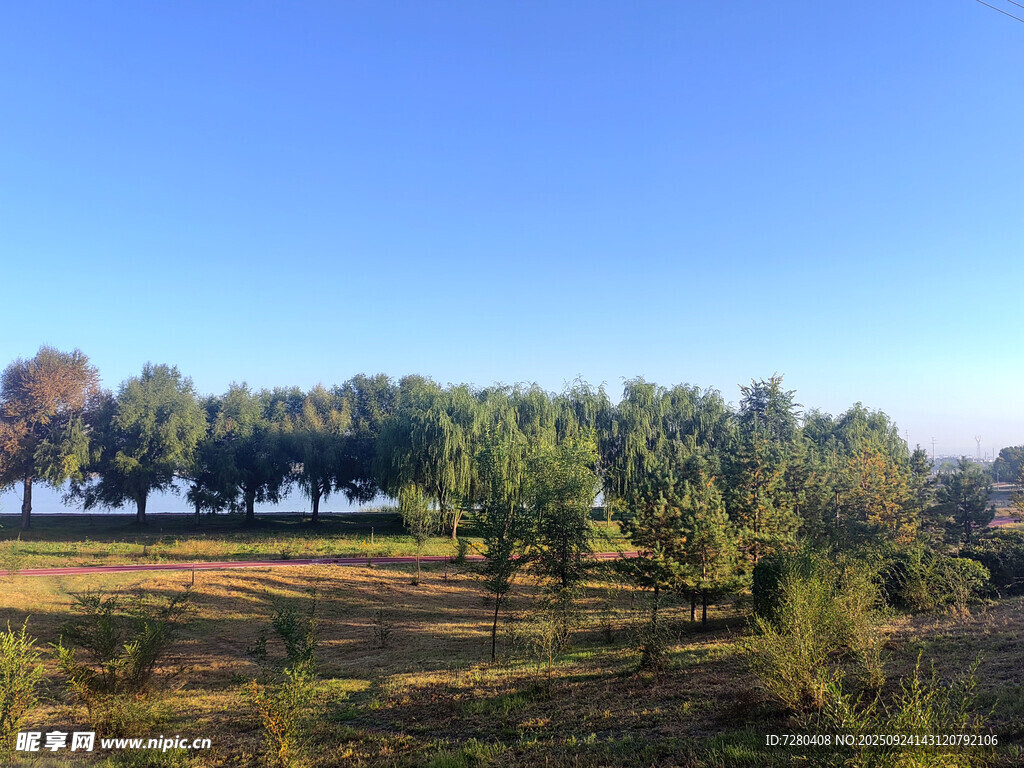 郊外绿意盎然的开阔风景