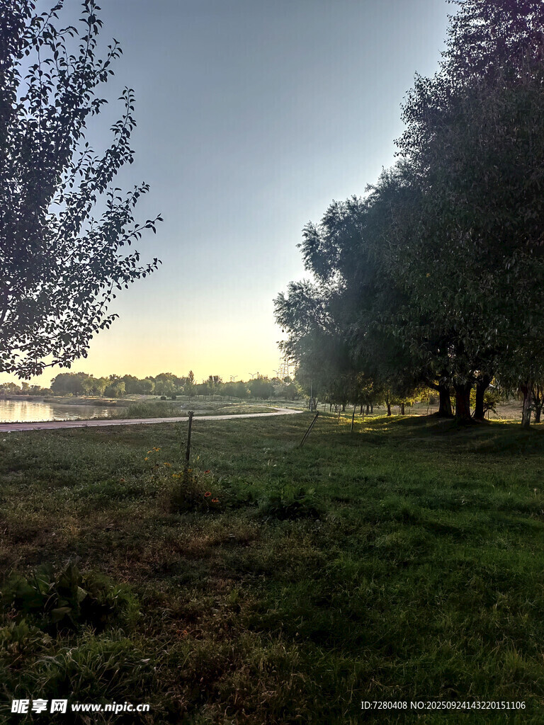 清晨草地树林美景