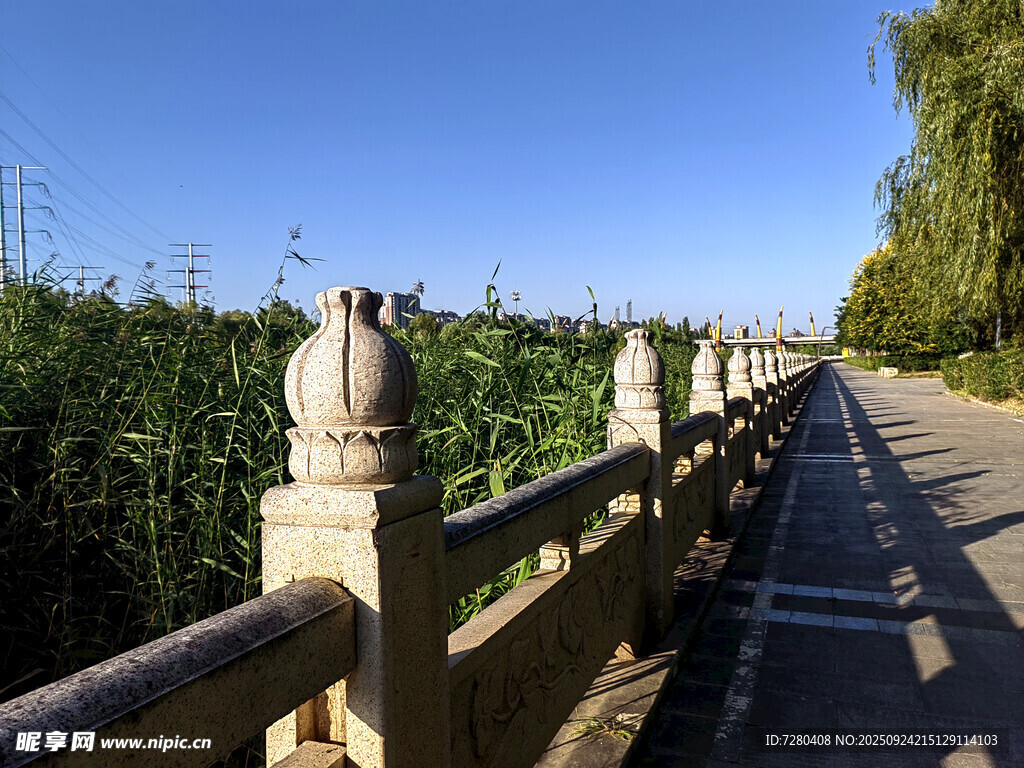 河畔石栏旁的绿意风景