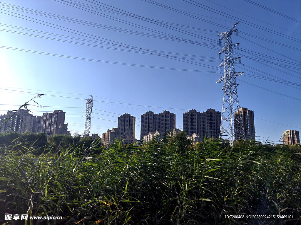 城郊绿植与高楼景观