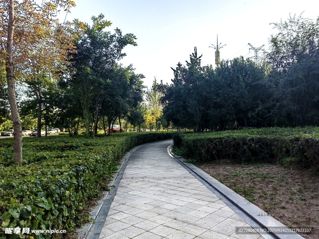 林间幽静步道
