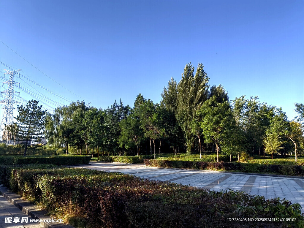 秋日公园静谧小路风景