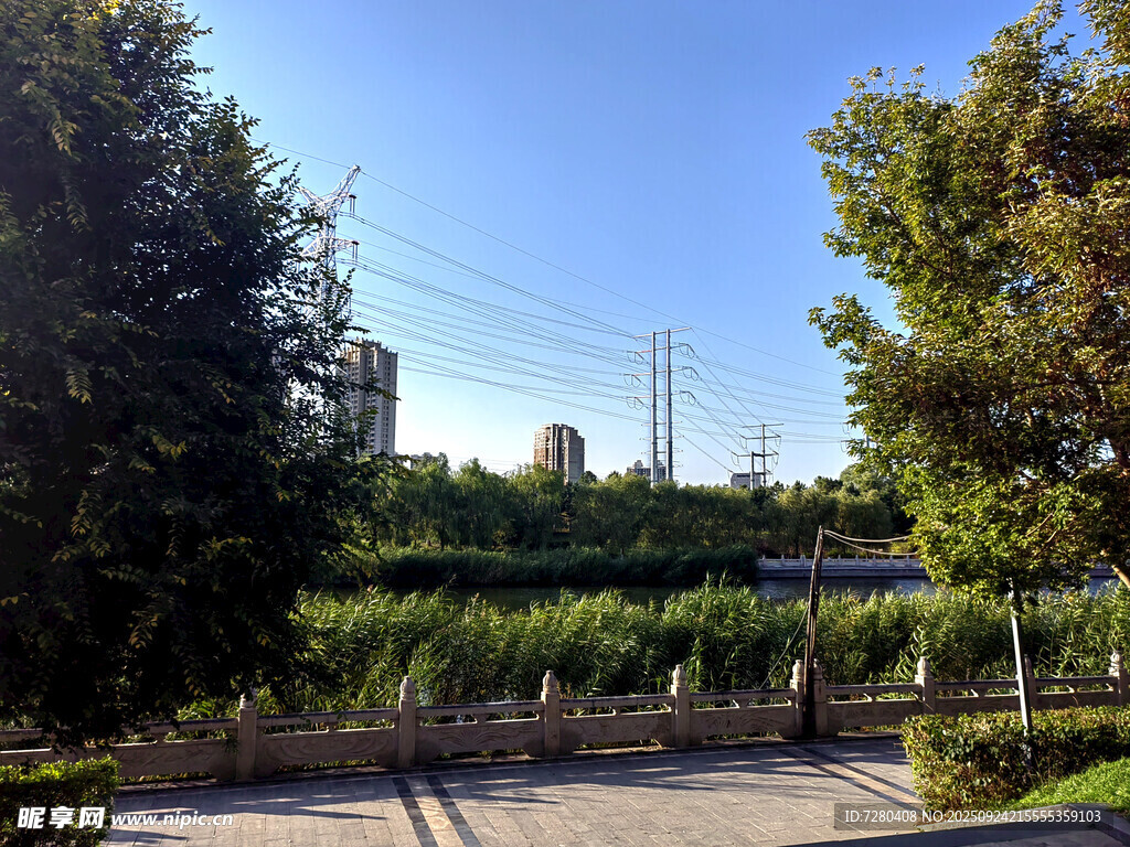 城市河畔绿树成荫美景
