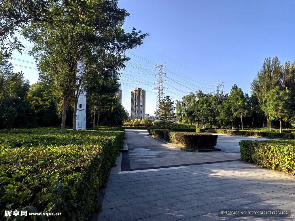城市中的静谧园林景观