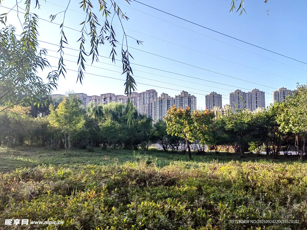 城郊绿意盎然的自然景致