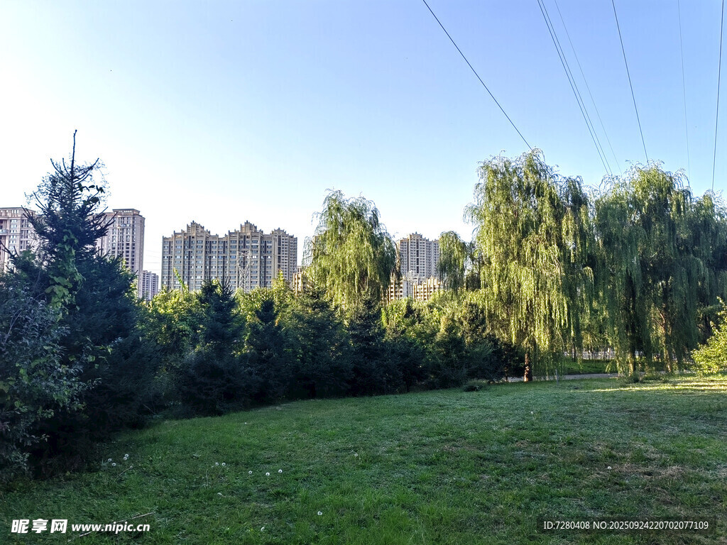 城郊绿意盎然的草地树林