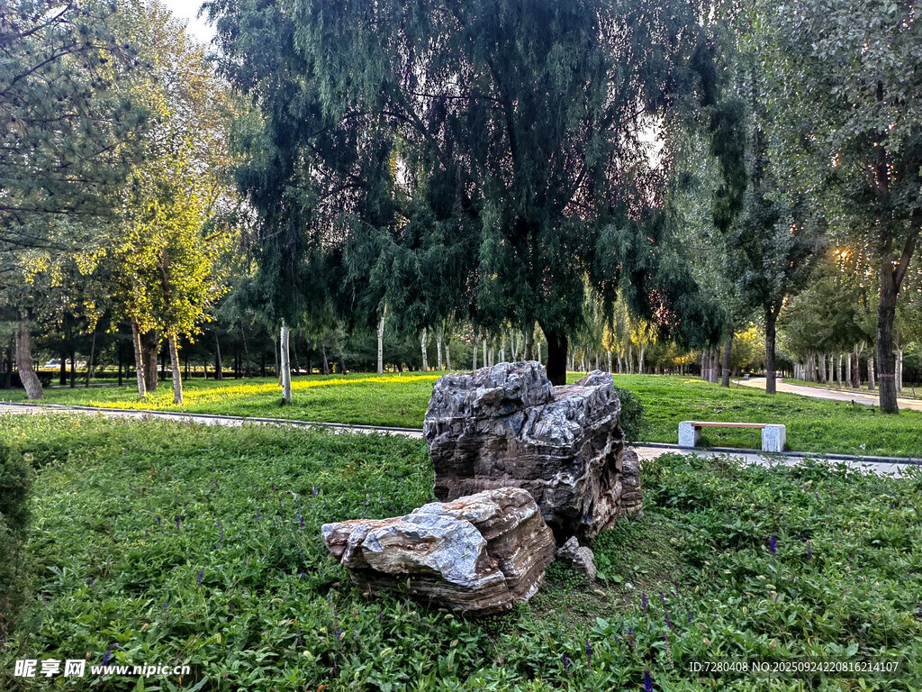 园林中奇石静置于绿草地