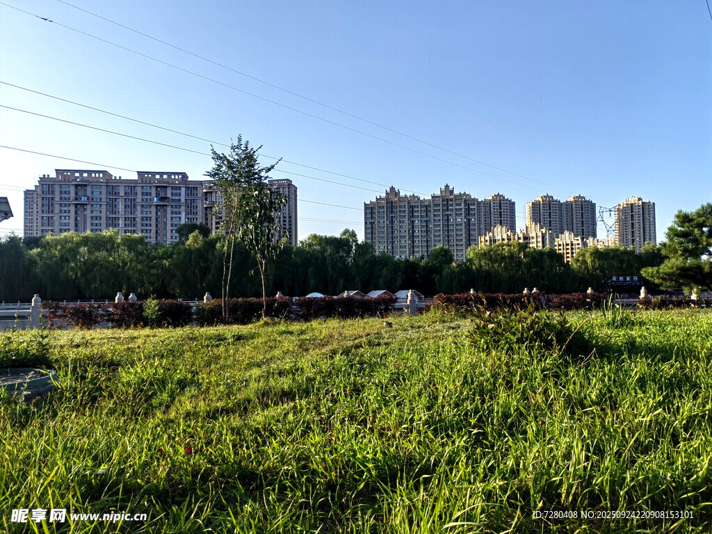 城市边的翠绿草地景观