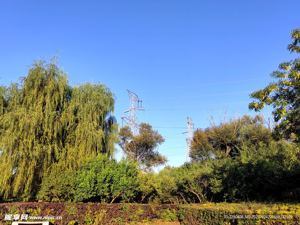 蓝天绿树风景美