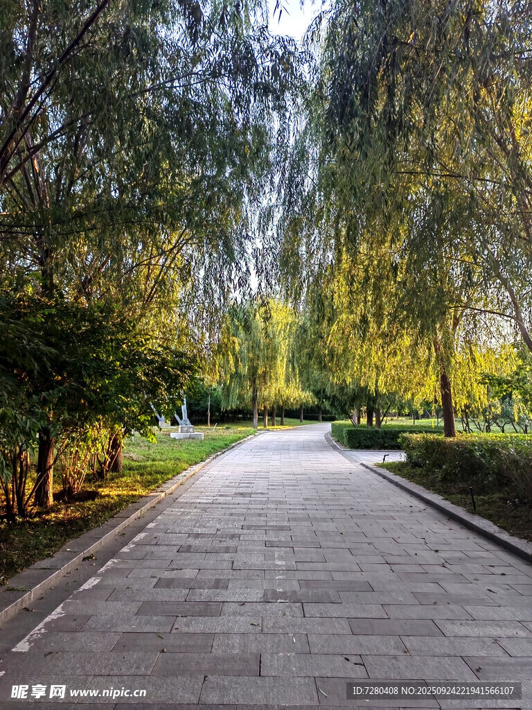 林间幽静步道