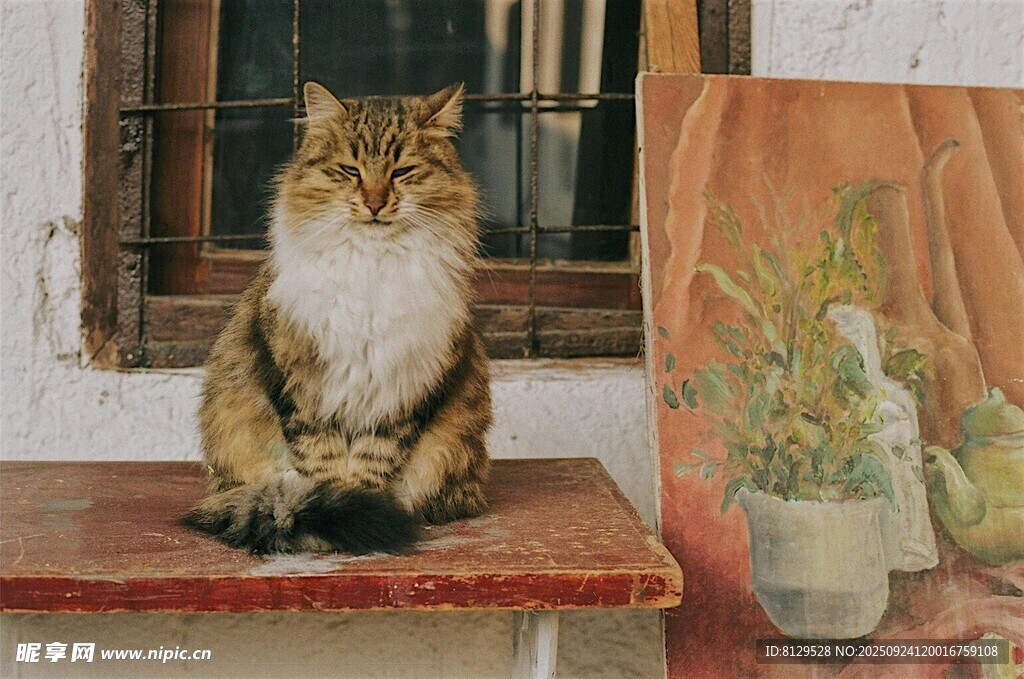 窗边猫咪与艺术画作