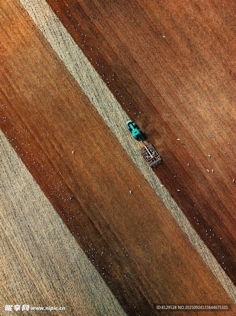 木地板缝隙中的小物件