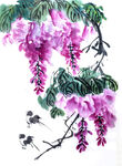 紫藤花开伴飞鸟