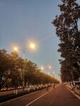 黄昏下的静谧林荫道路